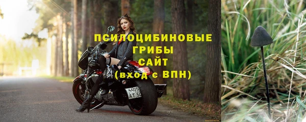ГАЛЛЮЦИНОГЕННЫЕ ГРИБЫ Алексин