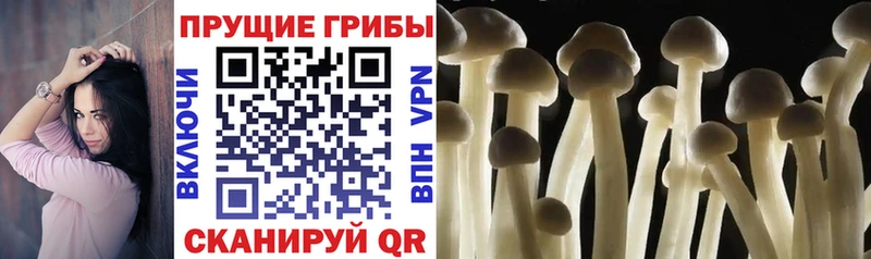 Псилоцибиновые грибы мухоморы  Новая Ляля 